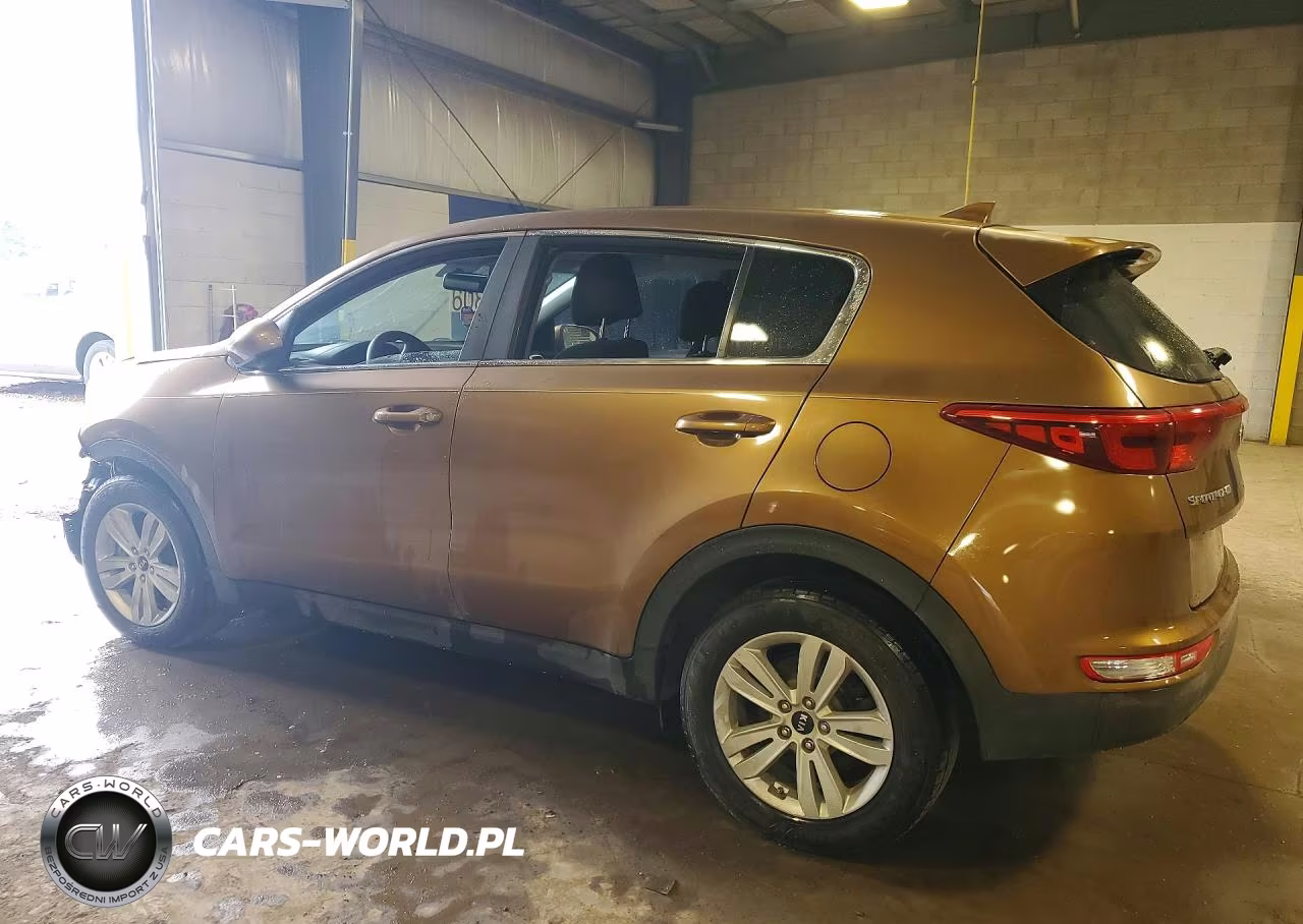 2017 Kia Sportage Lx VIN:KNDPM3ACXH7104401 - 2