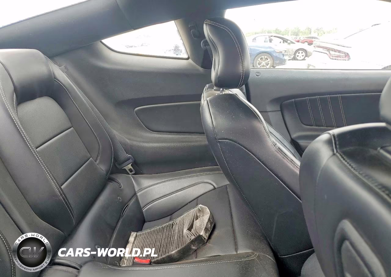 2015 Ford Mustang VIN:1FA6P8TH2F5317706 - 10