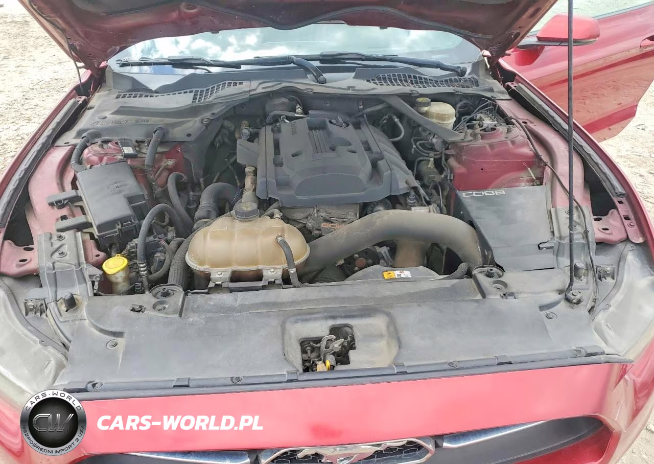 2015 Ford Mustang VIN:1FA6P8TH2F5317706 - 11