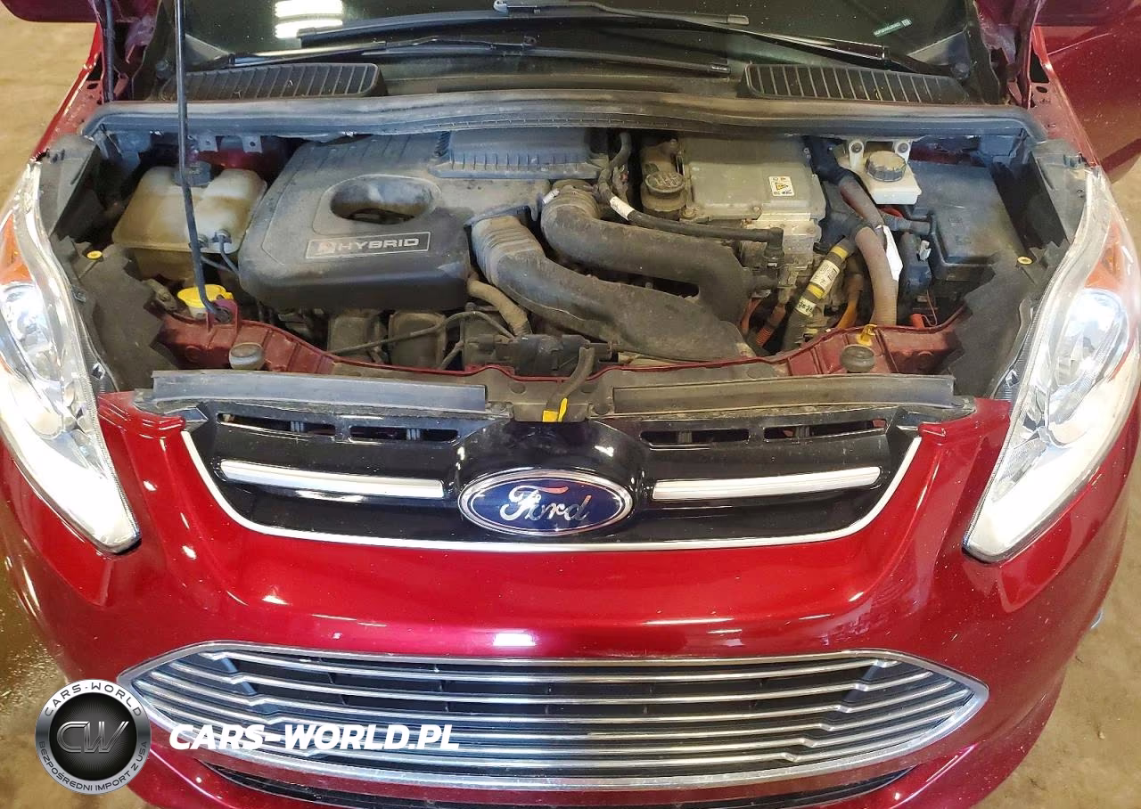 2014 Ford C-Max Sel VIN:1FADP5BU6EL503022 - 11