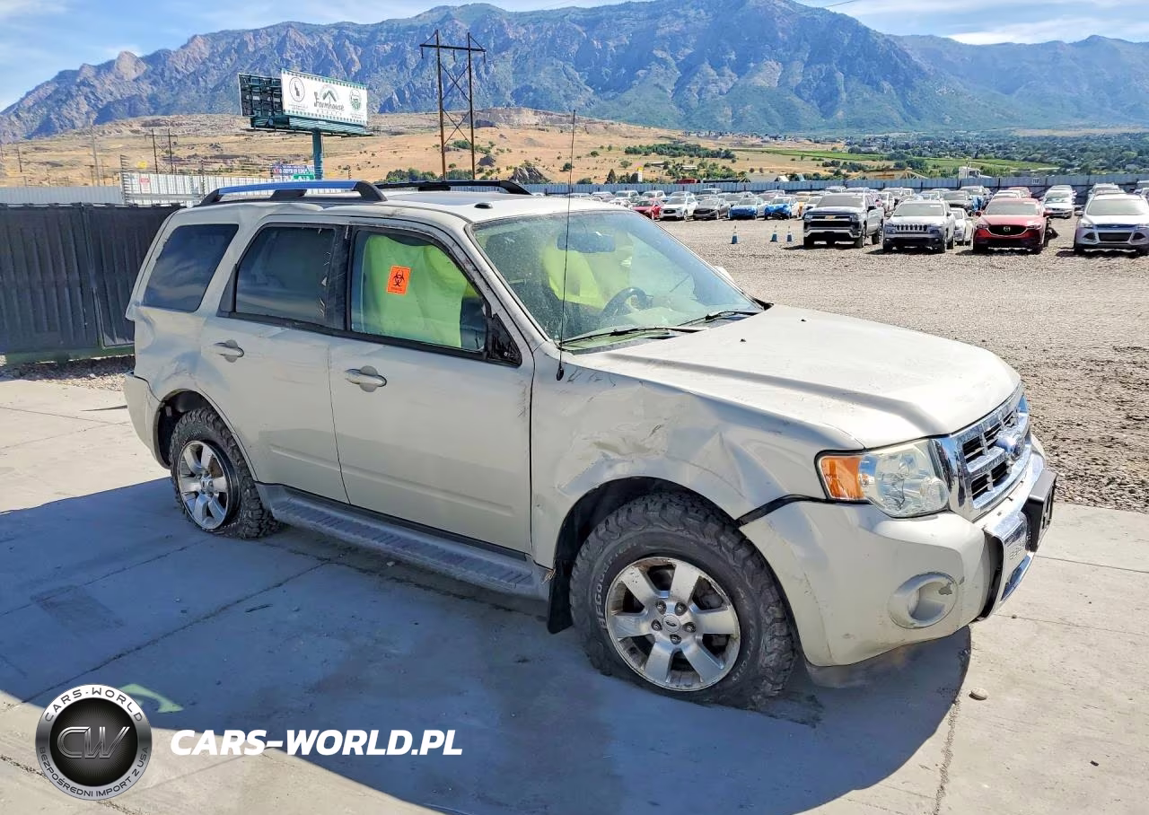 2009 Ford Escape Limited VIN:1FMCU94G09KB22139 - 4