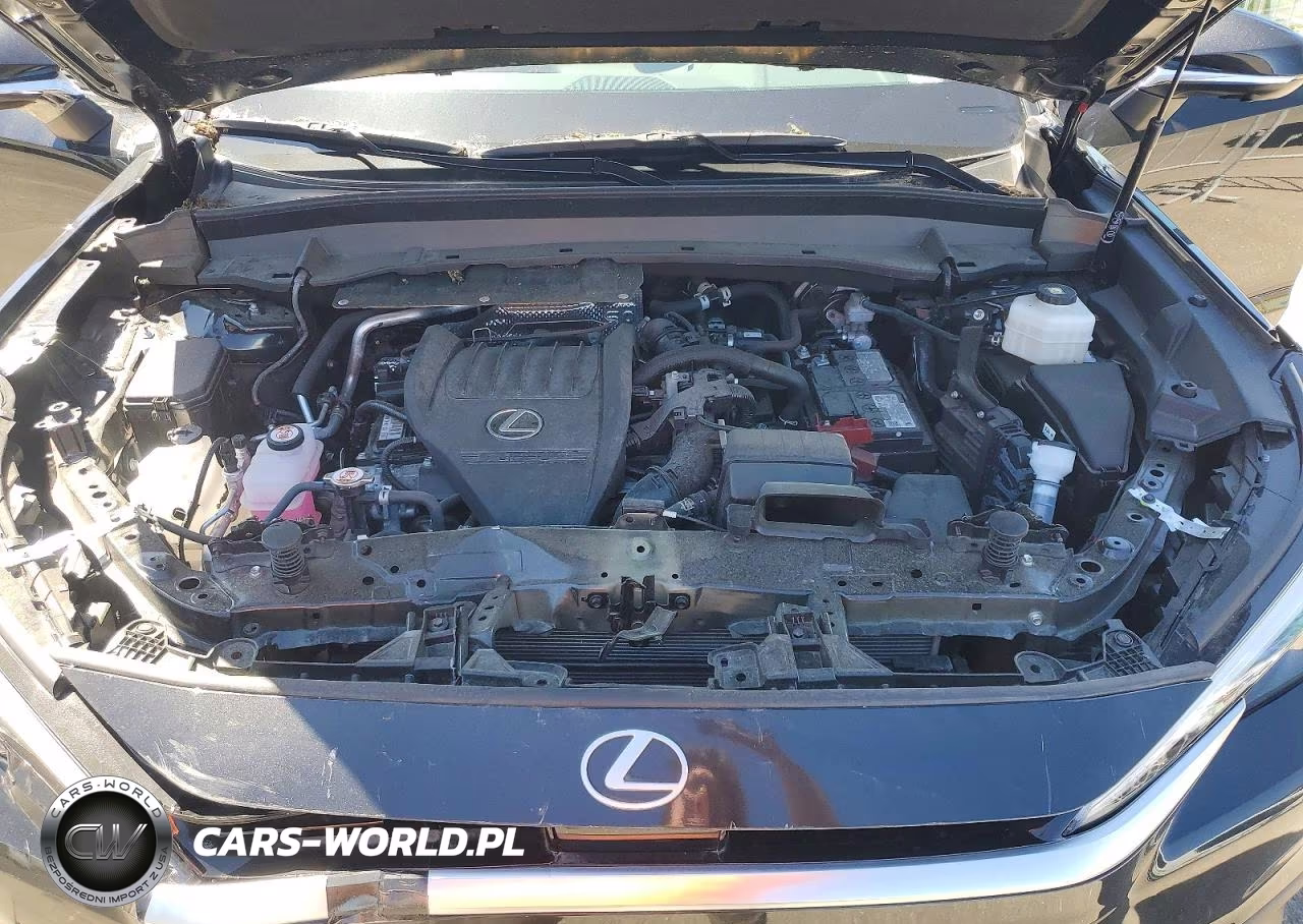2024 Lexus Tx 350 Premium VIN:5TDAAAB65RS007867 - 12