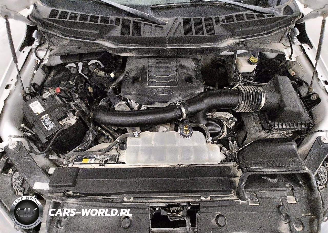 2023 Ford F150 Super Cab VIN:1FTFX1E88PKD63462 - 11