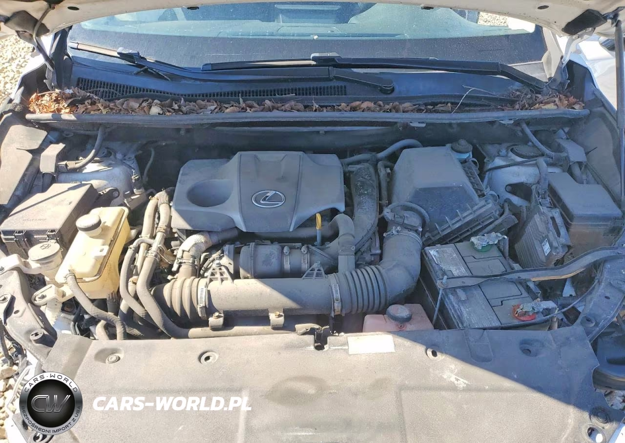 2016 Lexus Nx 200T Base VIN:JTJYARBZ1G2038316 - 11