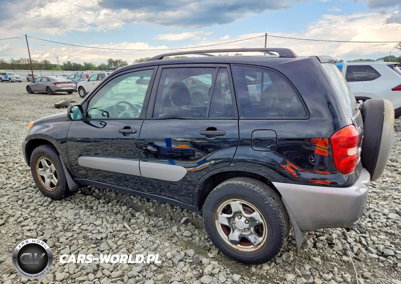 2004 Toyota Rav4 VIN:JTEHD20V446002041 - 2