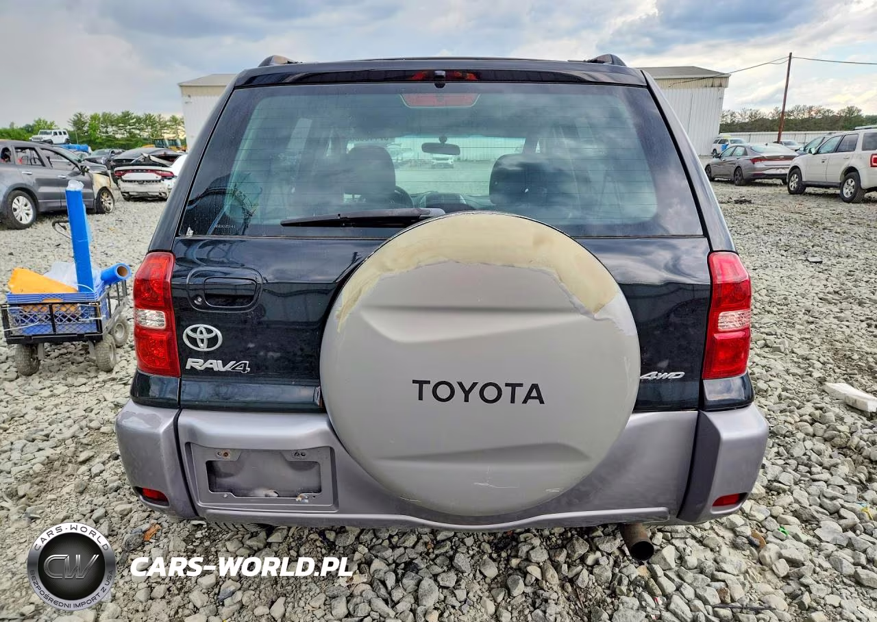 2004 Toyota Rav4 VIN:JTEHD20V446002041 - 6