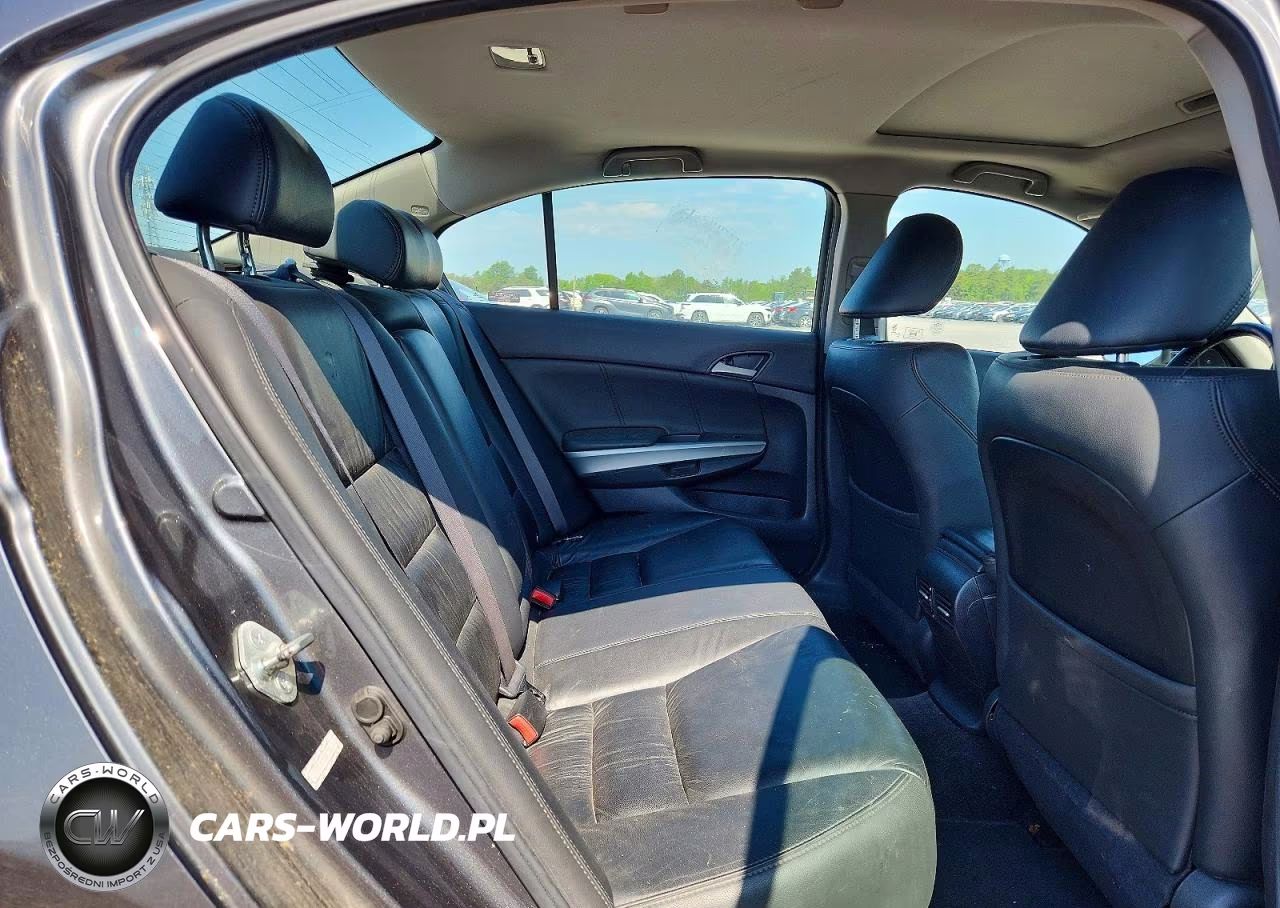 2010 Honda Accord Exl VIN:1HGCP2F83AA026638 - 10