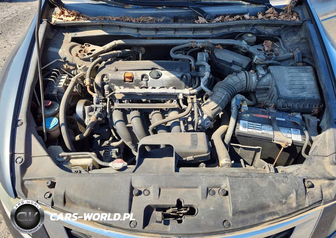 2010 Honda Accord Exl VIN:1HGCP2F83AA026638 - 11