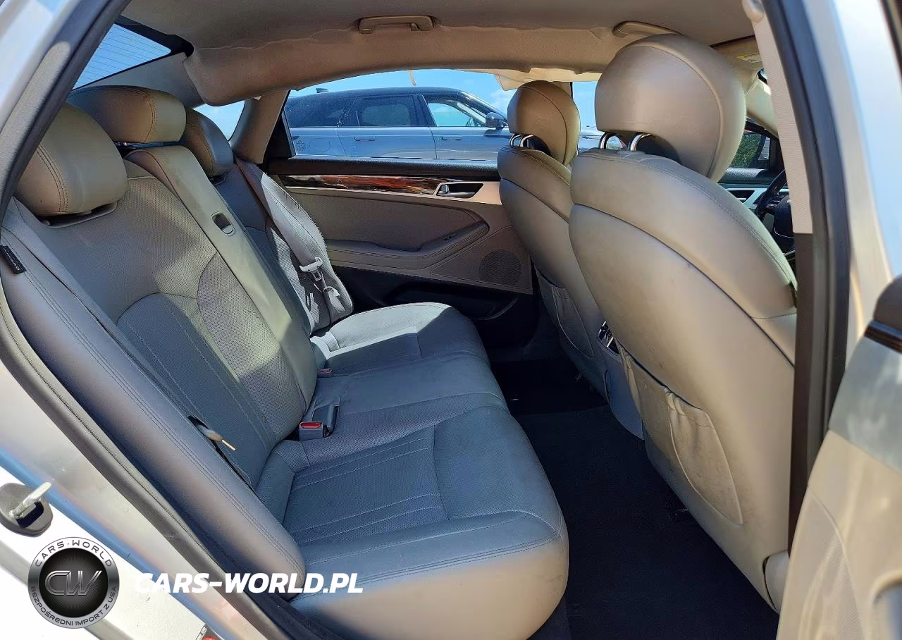 2015 Hyundai Genesis 3.8L VIN:KMHGN4JE7FU067595 - 10