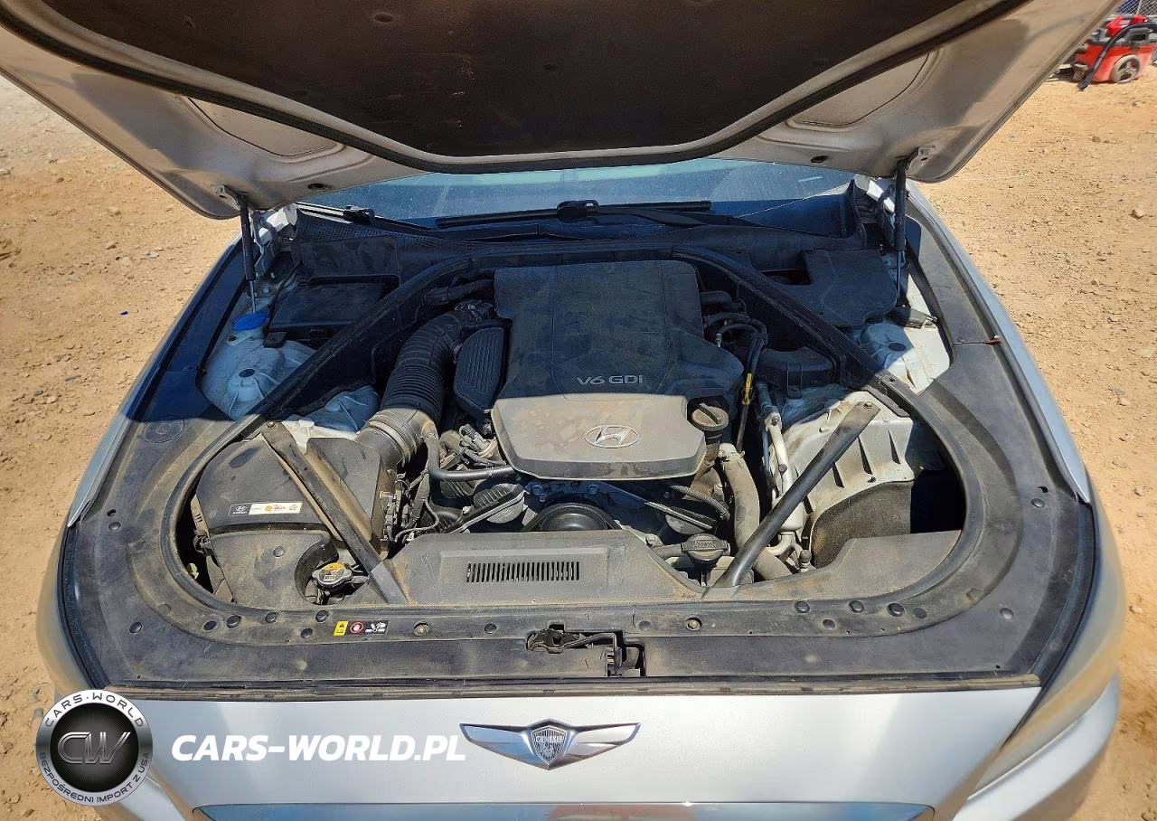 2015 Hyundai Genesis 3.8L VIN:KMHGN4JE7FU067595 - 11