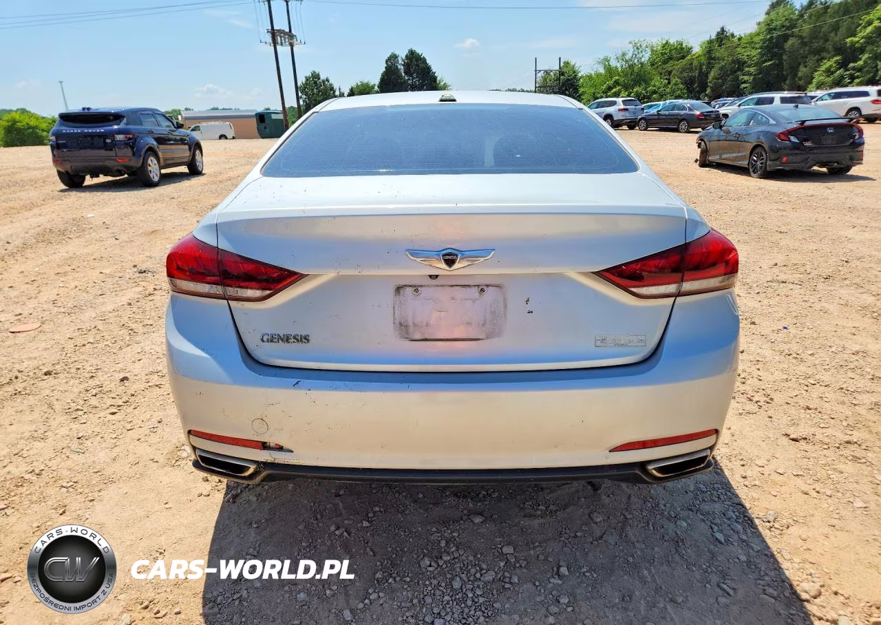 2015 Hyundai Genesis 3.8L VIN:KMHGN4JE7FU067595 - 6