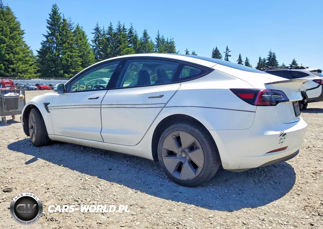 2023 Tesla Model 3 VIN:5YJ3E1EA5PF519045 - 2