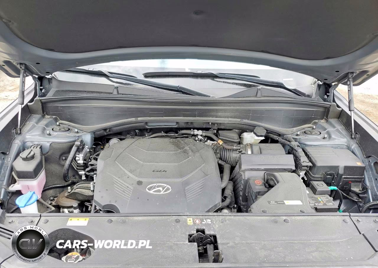 2025 Hyundai Palisade Xrt VIN:KM8R3DGE1SU845339 - 12