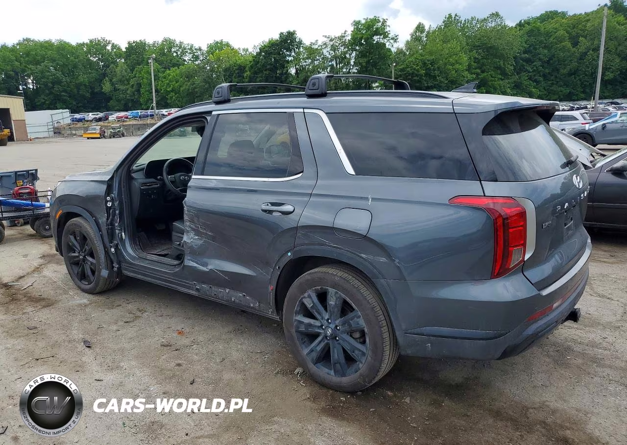 2025 Hyundai Palisade Xrt VIN:KM8R3DGE1SU845339 - 2