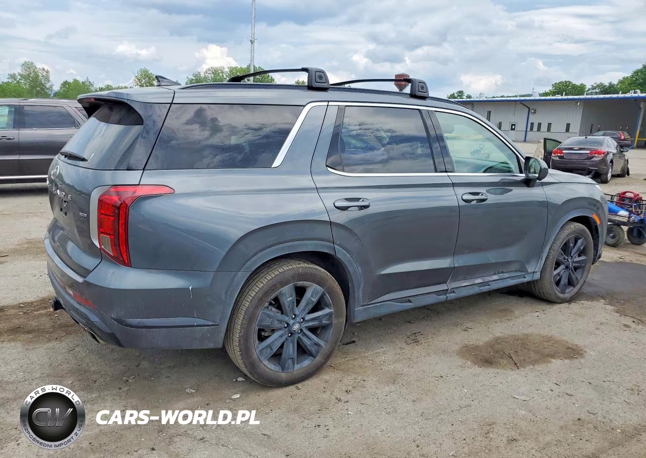 2025 Hyundai Palisade Xrt VIN:KM8R3DGE1SU845339 - 3