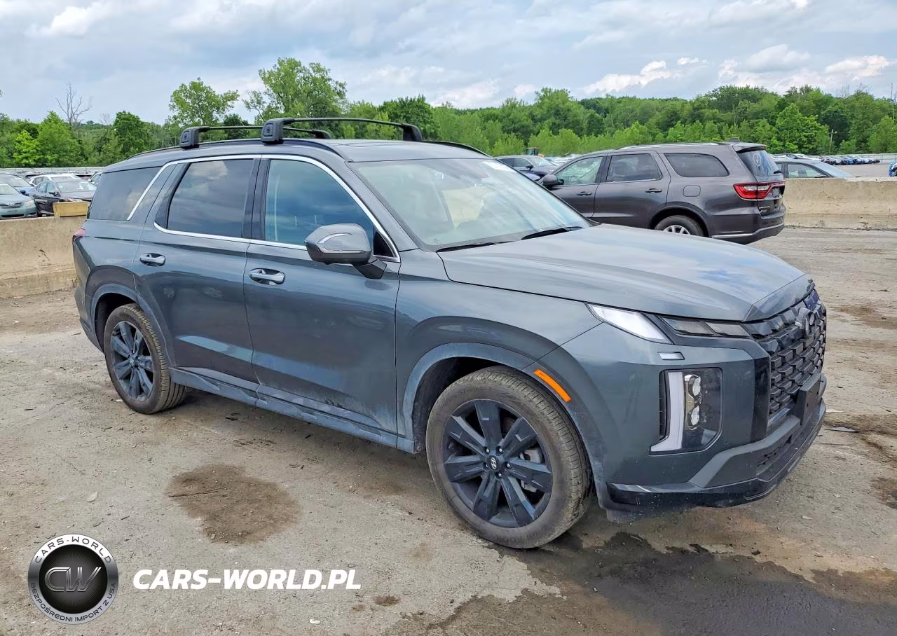 2025 Hyundai Palisade Xrt VIN:KM8R3DGE1SU845339 - 4