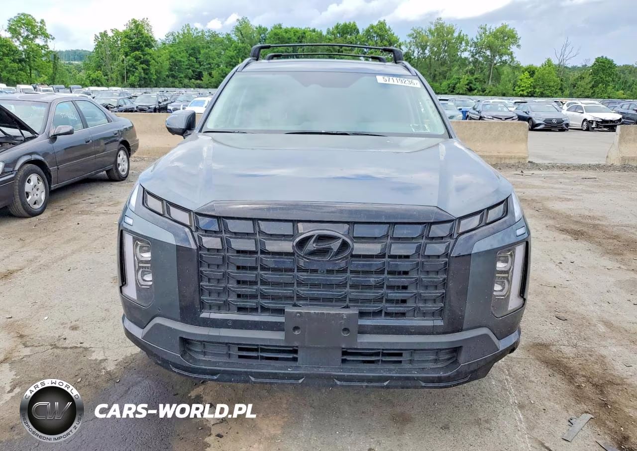2025 Hyundai Palisade Xrt VIN:KM8R3DGE1SU845339 - 5