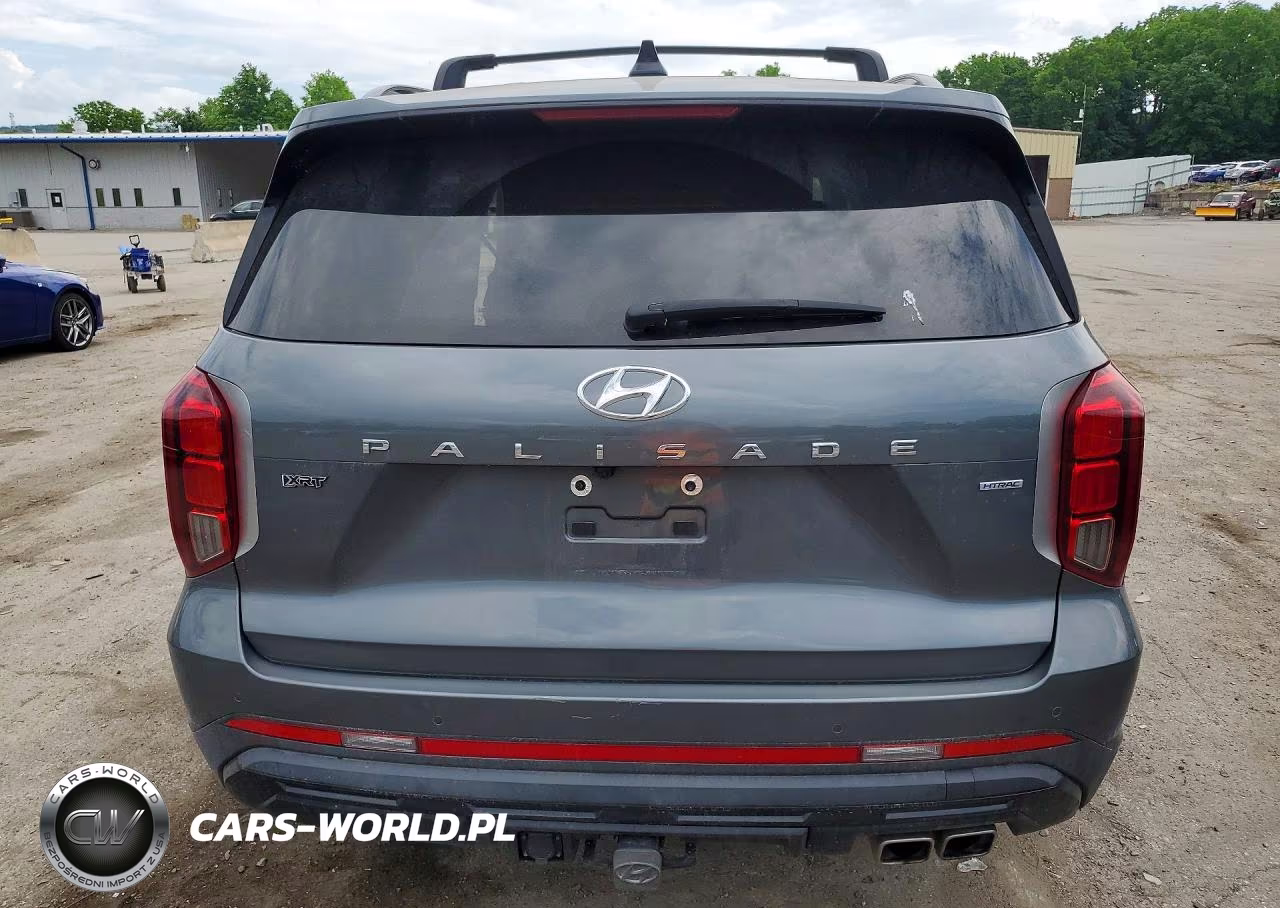 2025 Hyundai Palisade Xrt VIN:KM8R3DGE1SU845339 - 6