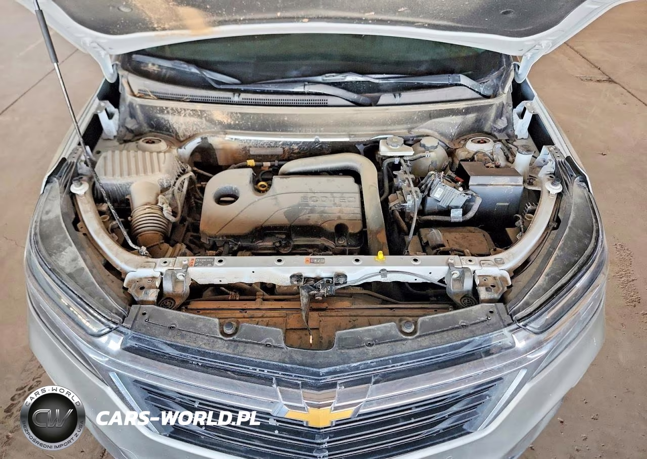 2024 Chevrolet Equinox Lt VIN:3GNAXUEGXRL178597 - 12