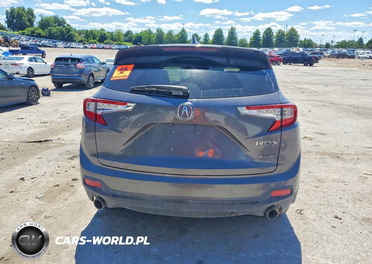 2019 Acura Rdx Advance VIN:5J8TC2H70KL033990 - 6
