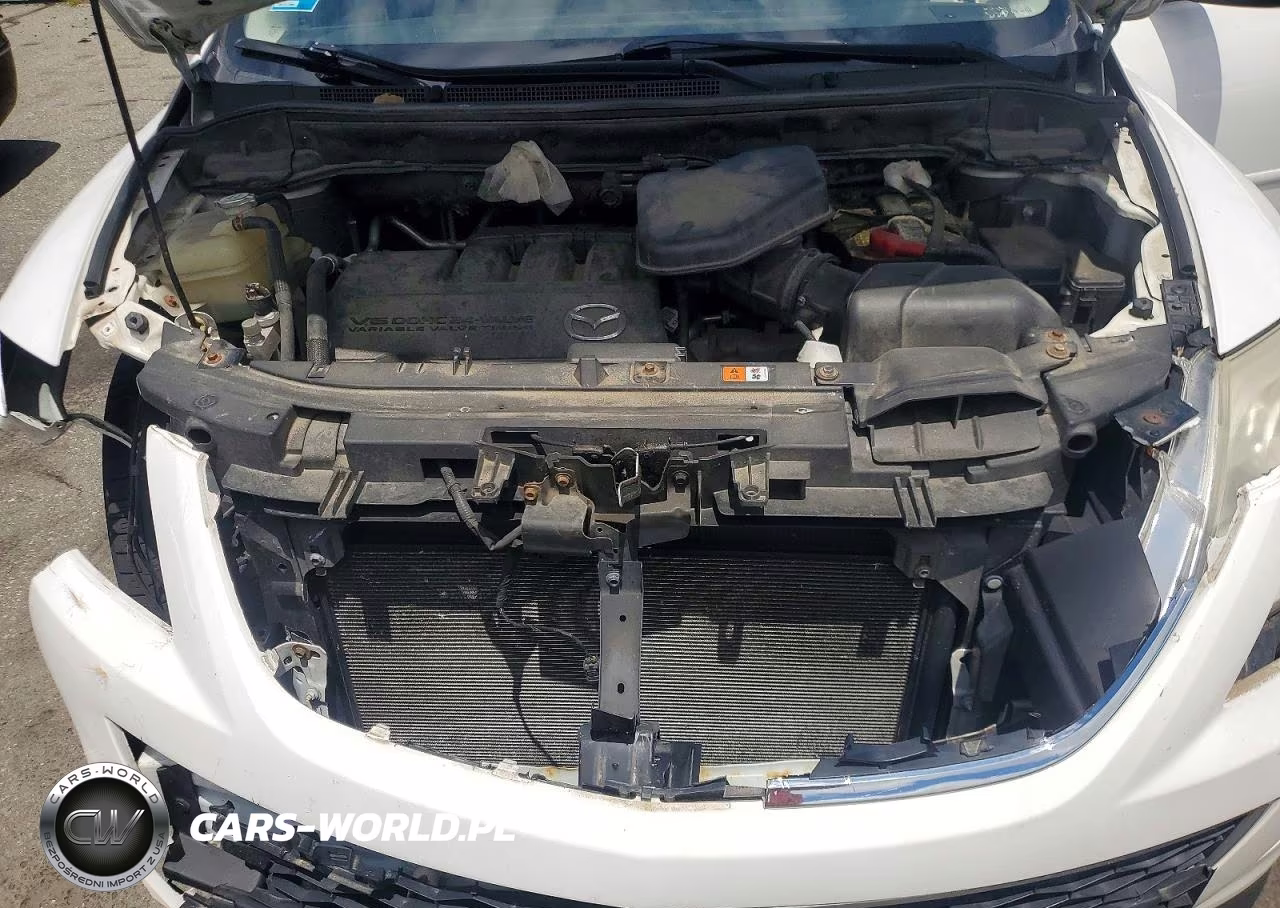2012 Mazda Cx-9 VIN:JM3TB3DV2C0366309 - 12