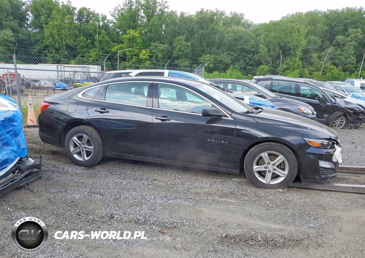 2019 Chevrolet Malibu Ls VIN:1G1ZB5ST5KF117863 - 4