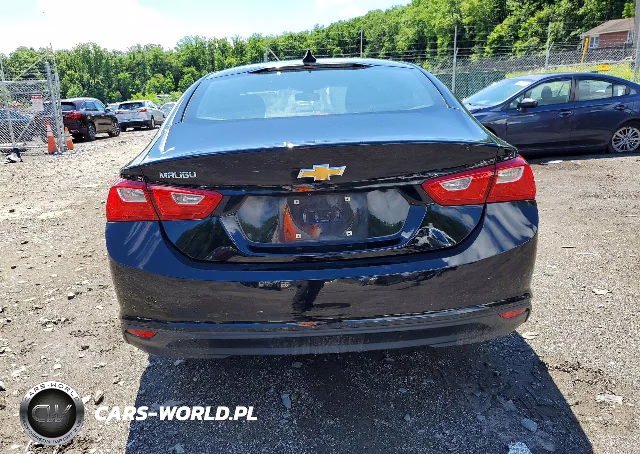 2019 Chevrolet Malibu Ls VIN:1G1ZB5ST5KF117863 - 6