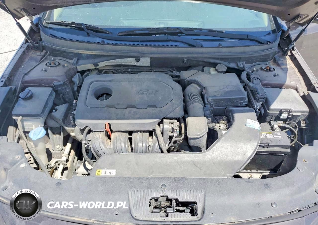 2016 Hyundai Sonata VIN:5NPE24AF3GH286059 - 11