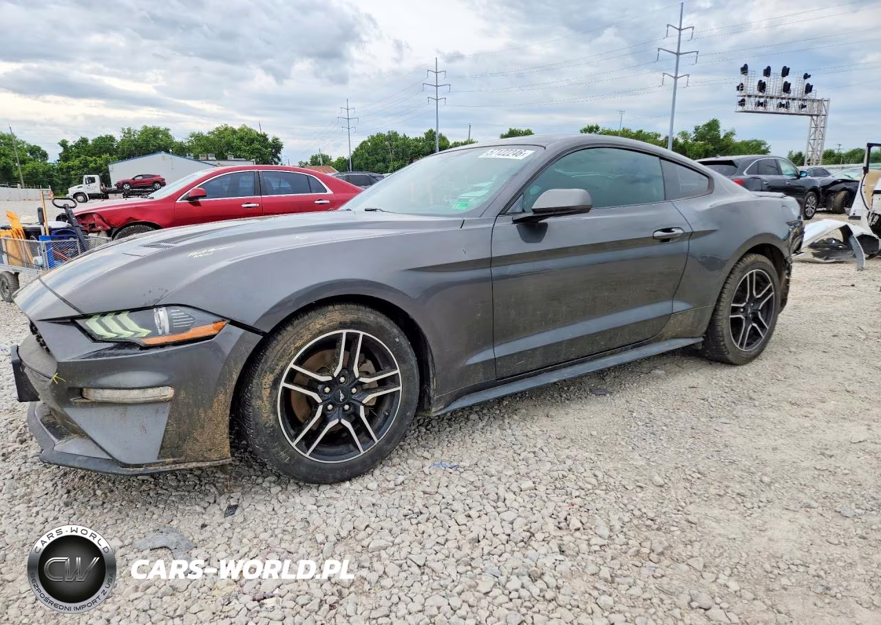 2019 Ford Mustang