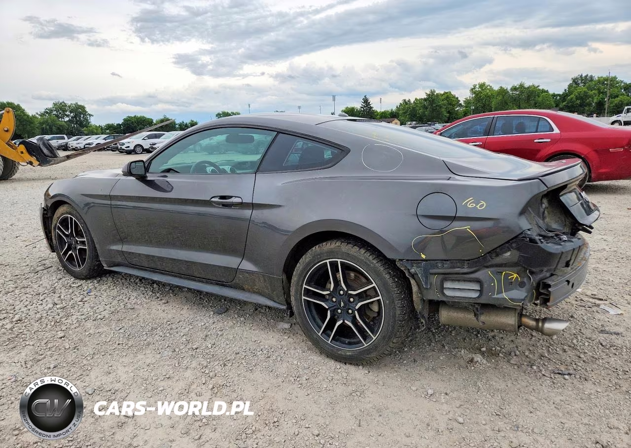 2019 Ford Mustang VIN:1FA6P8TH7K5167537 - 2