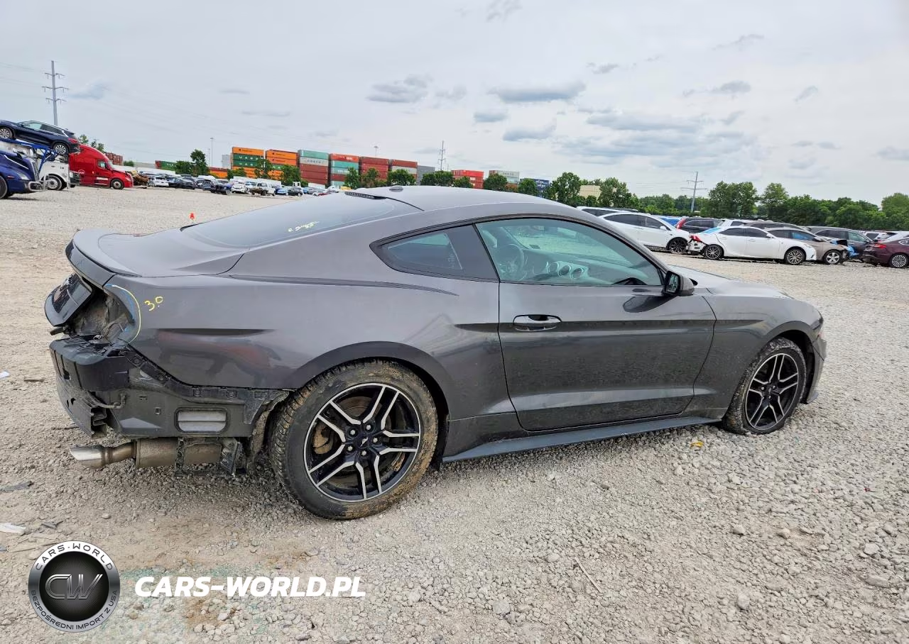 2019 Ford Mustang VIN:1FA6P8TH7K5167537 - 3