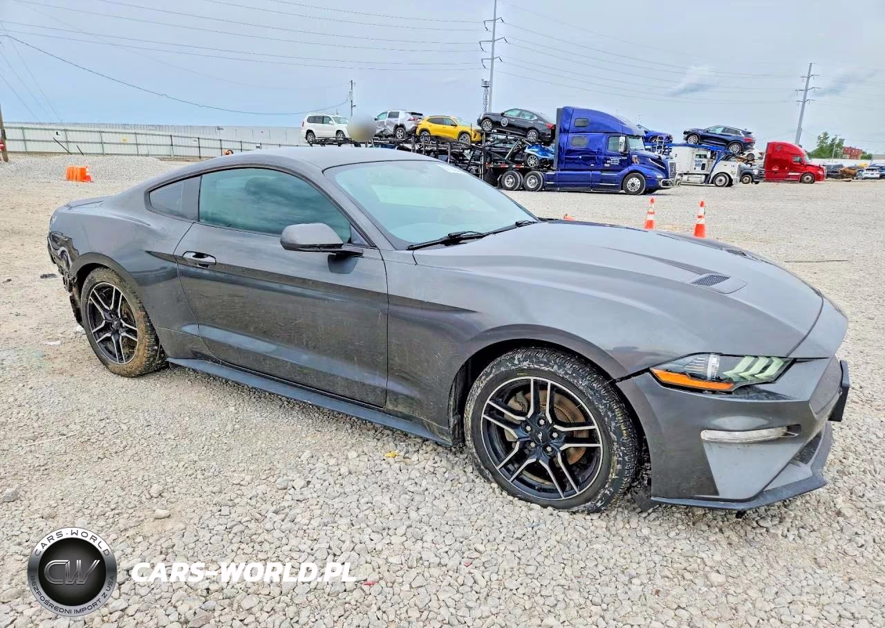 2019 Ford Mustang VIN:1FA6P8TH7K5167537 - 4