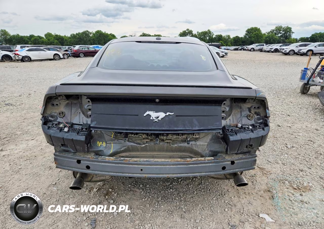 2019 Ford Mustang VIN:1FA6P8TH7K5167537 - 6