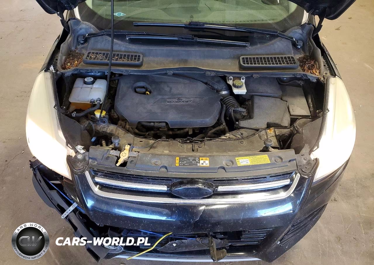 2013 Ford Escape Sel VIN:1FMCU9HX5DUB47643 - 12