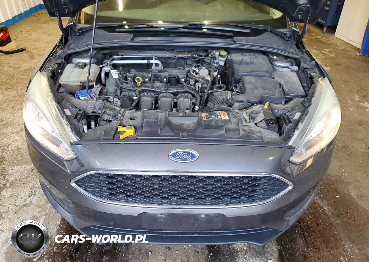 2016 Ford Focus Se VIN:1FADP3F25GL365831 - 11
