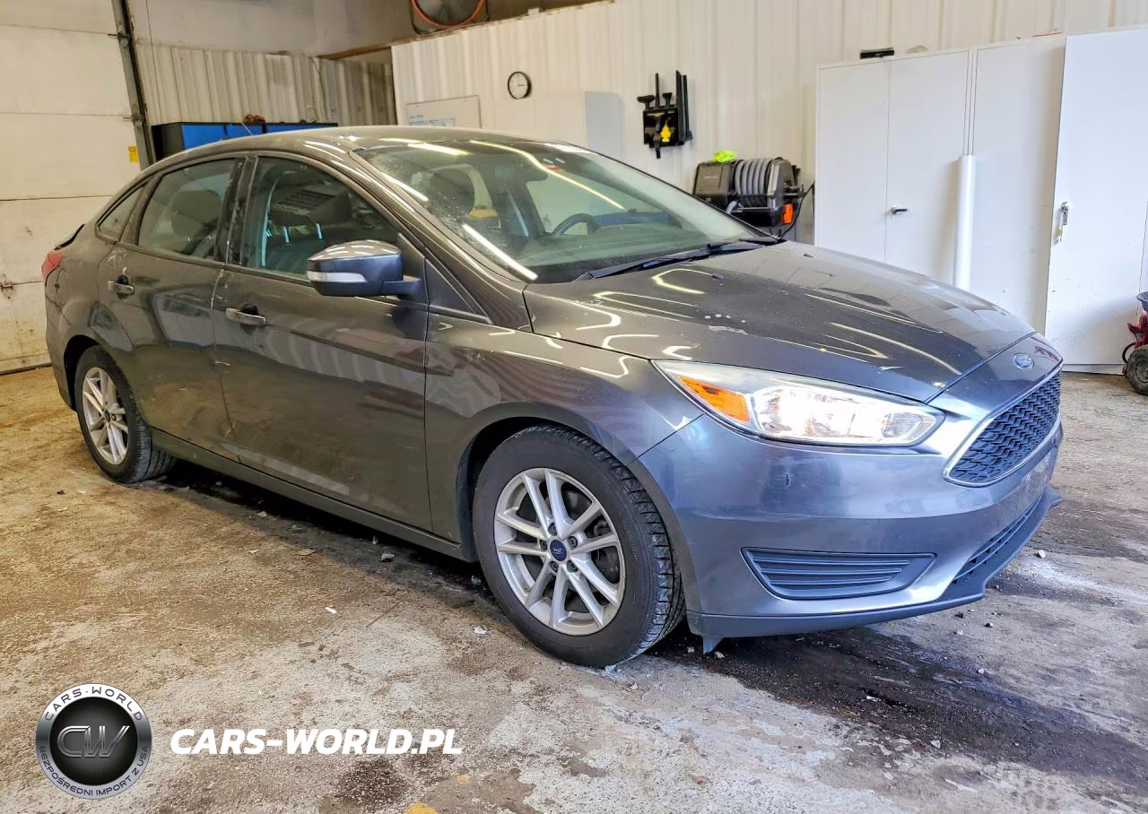 2016 Ford Focus Se VIN:1FADP3F25GL365831 - 4