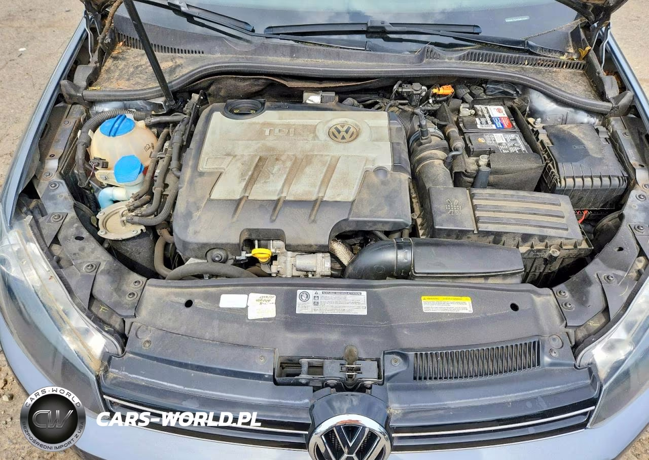 2014 Volkswagen Jetta Tdi VIN:3VWML7AJ4EM622384 - 11