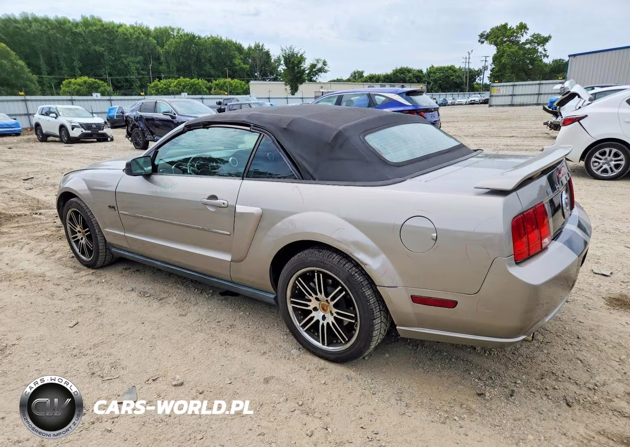 2005 Ford Mustang VIN:1ZVFT84N355215840 - 2