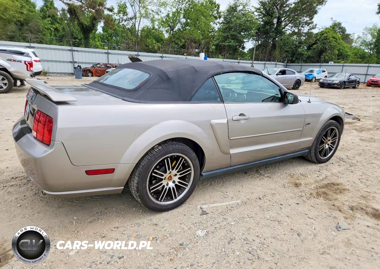 2005 Ford Mustang VIN:1ZVFT84N355215840 - 3