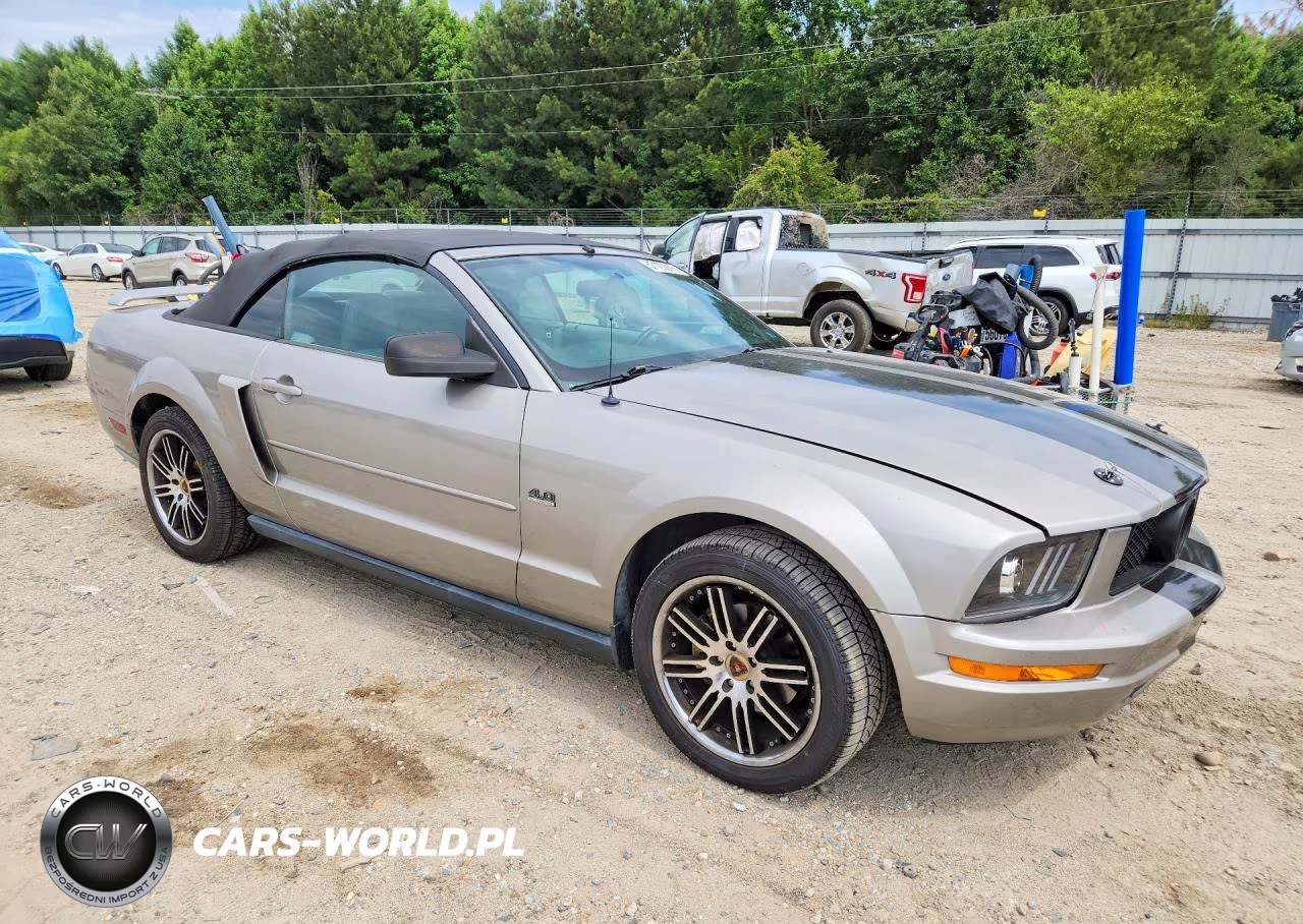 2005 Ford Mustang VIN:1ZVFT84N355215840 - 4