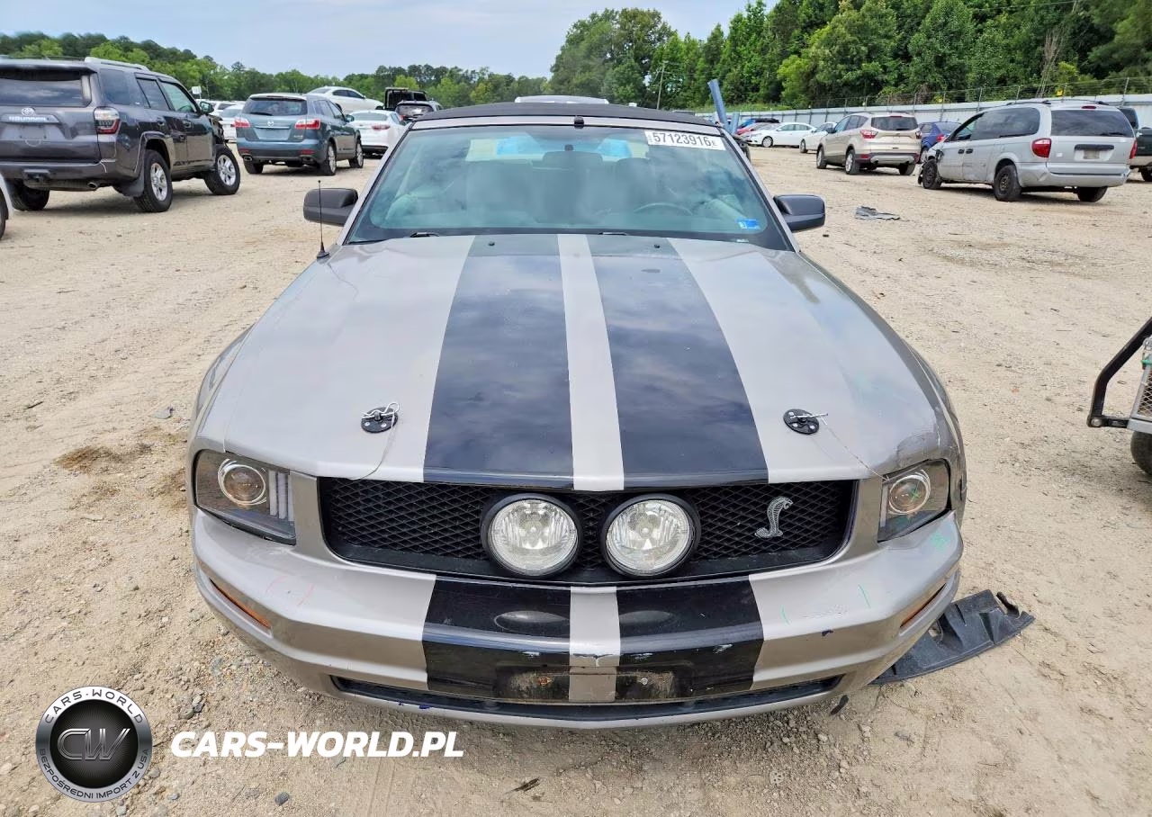 2005 Ford Mustang VIN:1ZVFT84N355215840 - 5