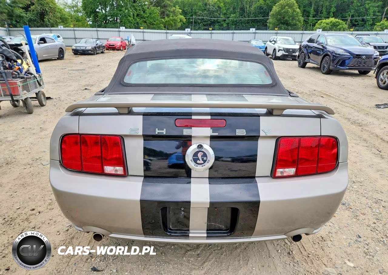 2005 Ford Mustang VIN:1ZVFT84N355215840 - 6