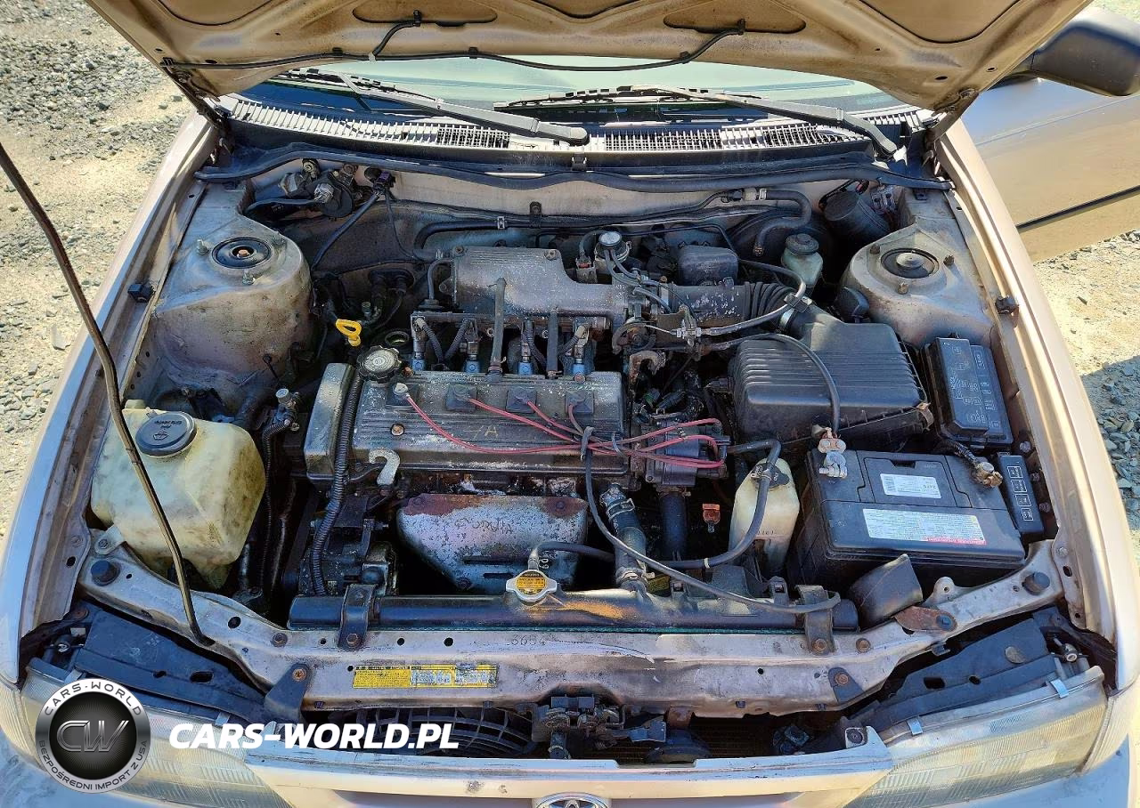 1997 Toyota Corolla Base VIN:2T1BA02EXVC176906 - 11