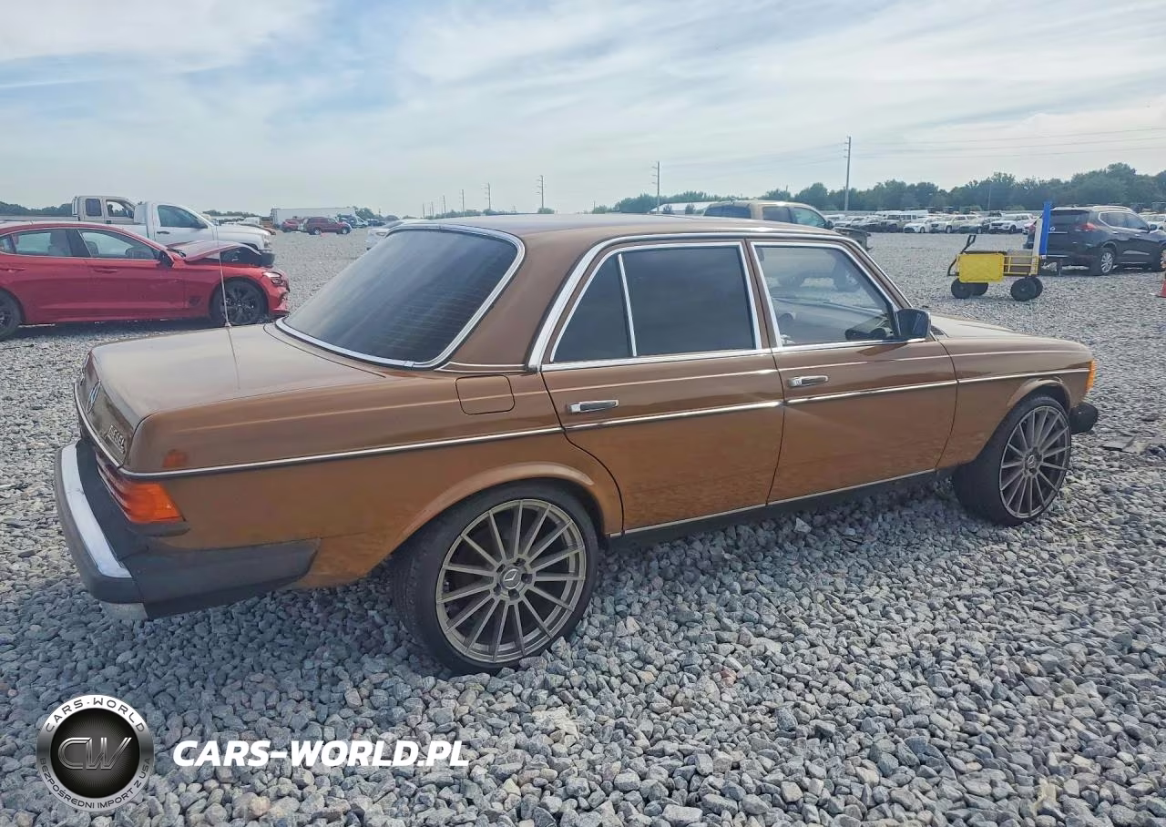 1980 Mercedes-Benz 240 D VIN:00012312312161460 - 3
