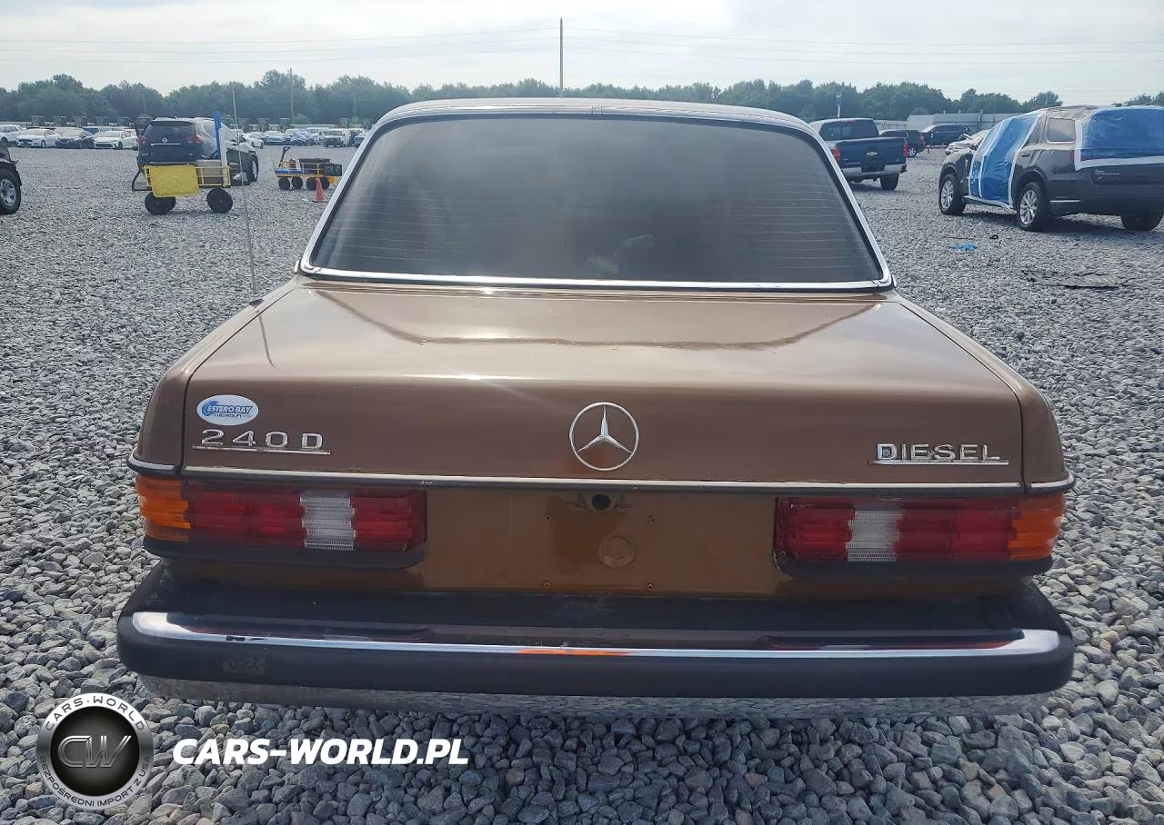 1980 Mercedes-Benz 240 D VIN:00012312312161460 - 6
