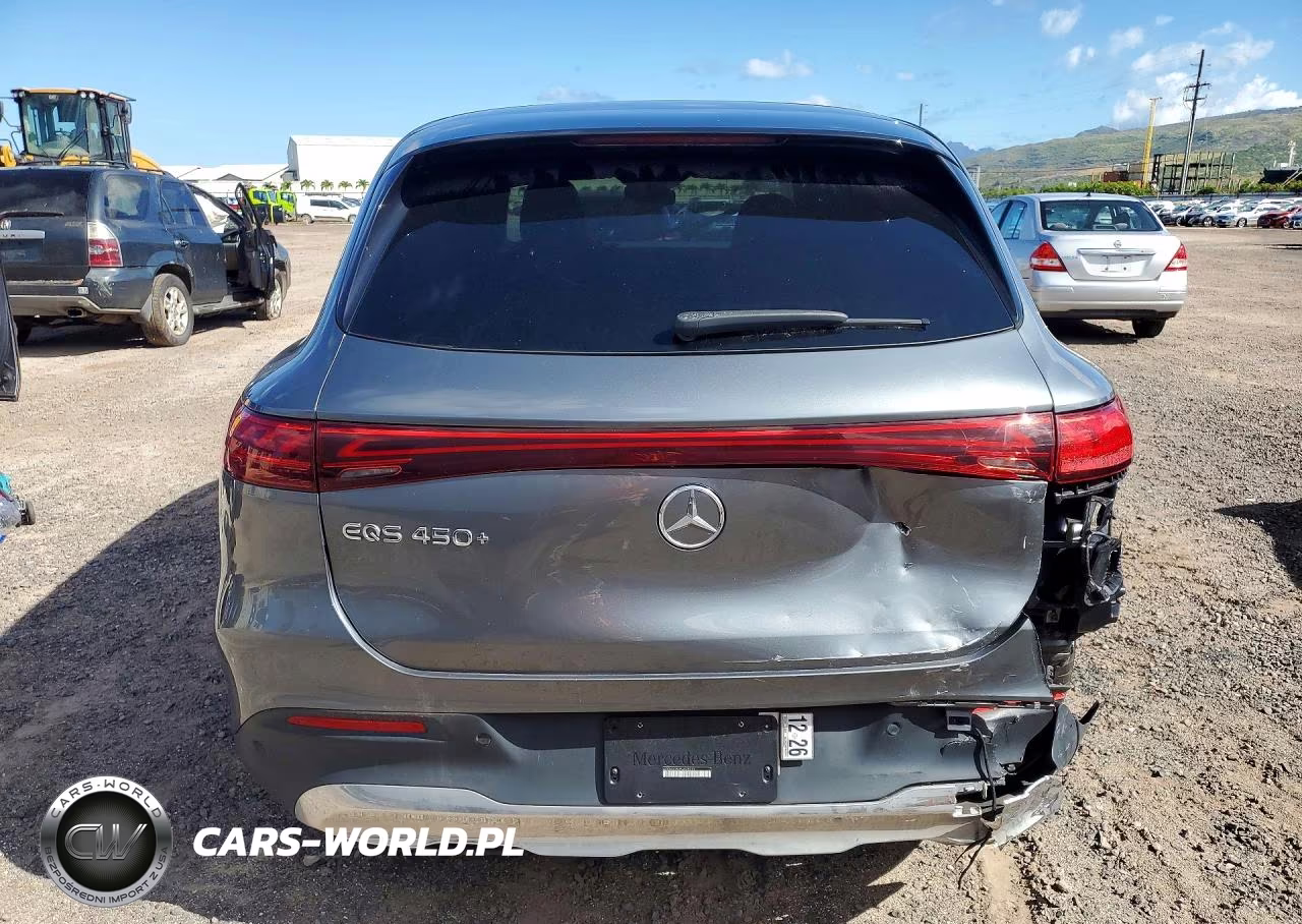 2023 Mercedes-Benz Eqs Suv 450+ VIN:4JGDM2DB0PA028913 - 6