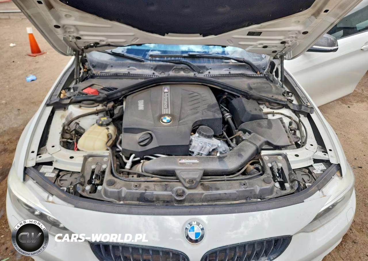 2015 BMW 435 Xi VIN:WBA3R5C5XFK371913 - 13