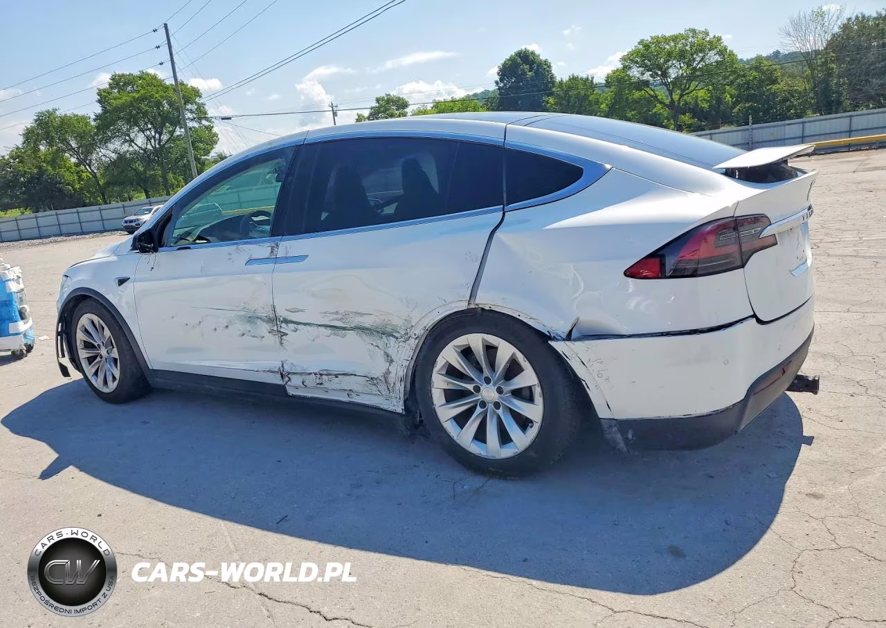 2019 Tesla Model X VIN:5YJXCAE25KF181347 - 2