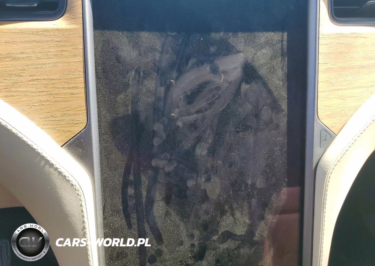2019 Tesla Model X VIN:5YJXCAE25KF181347 - 9