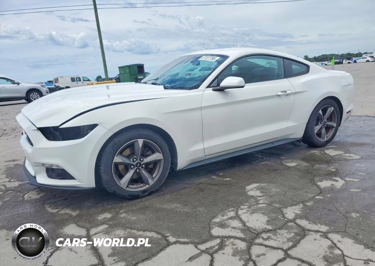 2015 Ford Mustang – zdjęcie 1 z 13
